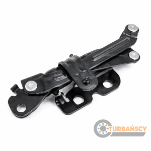 ZAWIAS DRZWI PRAWY T294344 F-MAX