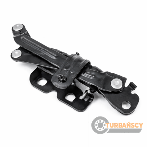 ZAWIAS DRZWI LEWY T294345 F-MAX